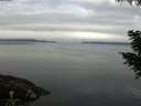 ./images/koeye/fitz-hugh/20200906/fitz-hugh20200906_092002.jpg