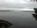 ./images/koeye/fitz-hugh/20200906/fitz-hugh20200906_092502.jpg