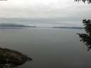 ./images/koeye/fitz-hugh/20200906/fitz-hugh20200906_093501.jpg