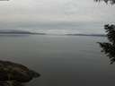 ./images/koeye/fitz-hugh/20200906/fitz-hugh20200906_094001.jpg