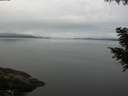 ./images/koeye/fitz-hugh/20200906/fitz-hugh20200906_094502.jpg