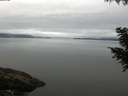 ./images/koeye/fitz-hugh/20200906/fitz-hugh20200906_100002.jpg