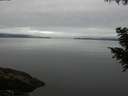 ./images/koeye/fitz-hugh/20200906/fitz-hugh20200906_100502.jpg