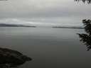 ./images/koeye/fitz-hugh/20200906/fitz-hugh20200906_101002.jpg