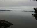 ./images/koeye/fitz-hugh/20200906/fitz-hugh20200906_101502.jpg