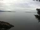 ./images/koeye/fitz-hugh/20200906/fitz-hugh20200906_102502.jpg