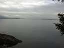 ./images/koeye/fitz-hugh/20200906/fitz-hugh20200906_103502.jpg