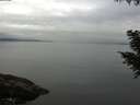 ./images/koeye/fitz-hugh/20200906/fitz-hugh20200906_104001.jpg