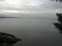 ./images/koeye/fitz-hugh/20200906/fitz-hugh20200906_104501.jpg