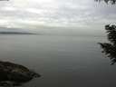 ./images/koeye/fitz-hugh/20200906/fitz-hugh20200906_105001.jpg