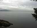 ./images/koeye/fitz-hugh/20200906/fitz-hugh20200906_105501.jpg