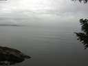 ./images/koeye/fitz-hugh/20200906/fitz-hugh20200906_110501.jpg