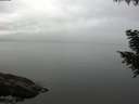 ./images/koeye/fitz-hugh/20200906/fitz-hugh20200906_111501.jpg