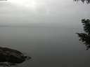 ./images/koeye/fitz-hugh/20200906/fitz-hugh20200906_112001.jpg