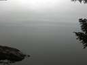 ./images/koeye/fitz-hugh/20200906/fitz-hugh20200906_112501.jpg