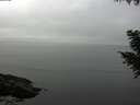 ./images/koeye/fitz-hugh/20200906/fitz-hugh20200906_113501.jpg