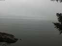 ./images/koeye/fitz-hugh/20200906/fitz-hugh20200906_114001.jpg