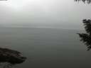 ./images/koeye/fitz-hugh/20200906/fitz-hugh20200906_114501.jpg