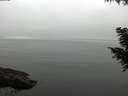 ./images/koeye/fitz-hugh/20200906/fitz-hugh20200906_115001.jpg