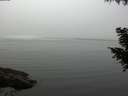 ./images/koeye/fitz-hugh/20200906/fitz-hugh20200906_115501.jpg