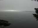 ./images/koeye/fitz-hugh/20200906/fitz-hugh20200906_120002.jpg