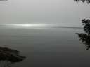 ./images/koeye/fitz-hugh/20200906/fitz-hugh20200906_120501.jpg