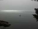 ./images/koeye/fitz-hugh/20200906/fitz-hugh20200906_121001.jpg