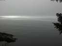 ./images/koeye/fitz-hugh/20200906/fitz-hugh20200906_121501.jpg