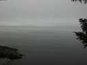 ./images/koeye/fitz-hugh/20200906/fitz-hugh20200906_122502.jpg