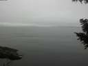 ./images/koeye/fitz-hugh/20200906/fitz-hugh20200906_123502.jpg