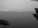 ./images/koeye/fitz-hugh/20200906/fitz-hugh20200906_124001.jpg