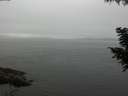 ./images/koeye/fitz-hugh/20200906/fitz-hugh20200906_124501.jpg