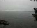 ./images/koeye/fitz-hugh/20200906/fitz-hugh20200906_125002.jpg
