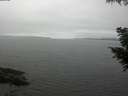 ./images/koeye/fitz-hugh/20200906/fitz-hugh20200906_125502.jpg