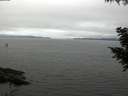 ./images/koeye/fitz-hugh/20200906/fitz-hugh20200906_130502.jpg
