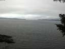 ./images/koeye/fitz-hugh/20200906/fitz-hugh20200906_131002.jpg