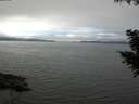 ./images/koeye/fitz-hugh/20200906/fitz-hugh20200906_132002.jpg