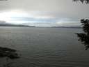 ./images/koeye/fitz-hugh/20200906/fitz-hugh20200906_132502.jpg