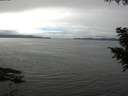 ./images/koeye/fitz-hugh/20200906/fitz-hugh20200906_133502.jpg
