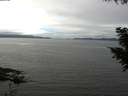 ./images/koeye/fitz-hugh/20200906/fitz-hugh20200906_134002.jpg