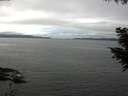 ./images/koeye/fitz-hugh/20200906/fitz-hugh20200906_134501.jpg
