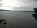 ./images/koeye/fitz-hugh/20200906/fitz-hugh20200906_135001.jpg