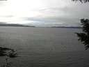 ./images/koeye/fitz-hugh/20200906/fitz-hugh20200906_135501.jpg