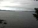 ./images/koeye/fitz-hugh/20200906/fitz-hugh20200906_140001.jpg