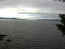 ./images/koeye/fitz-hugh/20200906/fitz-hugh20200906_141501.jpg