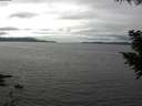 ./images/koeye/fitz-hugh/20200906/fitz-hugh20200906_143501.jpg