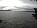 ./images/koeye/fitz-hugh/20200906/fitz-hugh20200906_144501.jpg