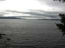 ./images/koeye/fitz-hugh/20200906/fitz-hugh20200906_145001.jpg