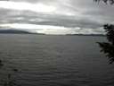 ./images/koeye/fitz-hugh/20200906/fitz-hugh20200906_152502.jpg