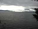./images/koeye/fitz-hugh/20200906/fitz-hugh20200906_154501.jpg